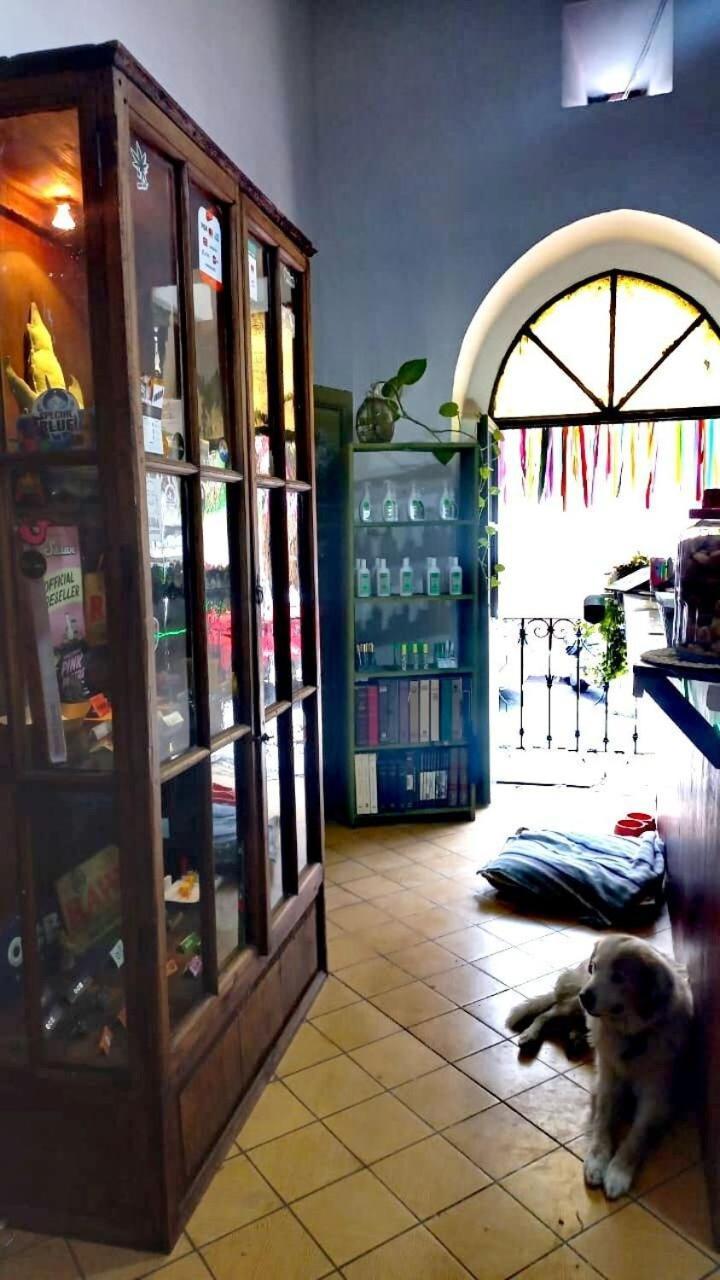 Apartamento Castillo Aquiles Morelia